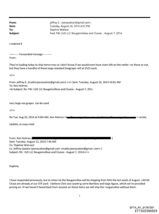 Preview of EFTA02586929