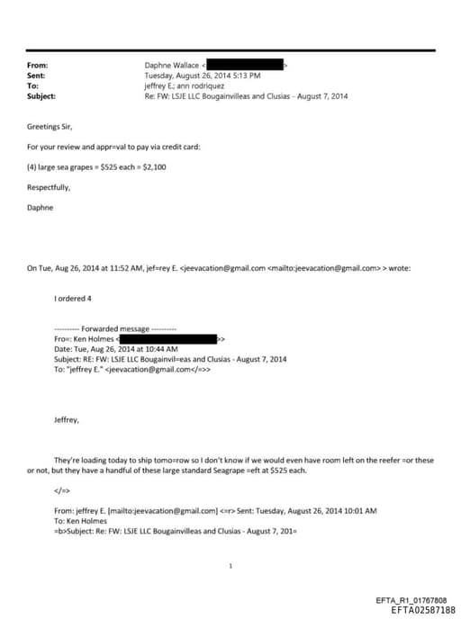 Preview of EFTA02587188