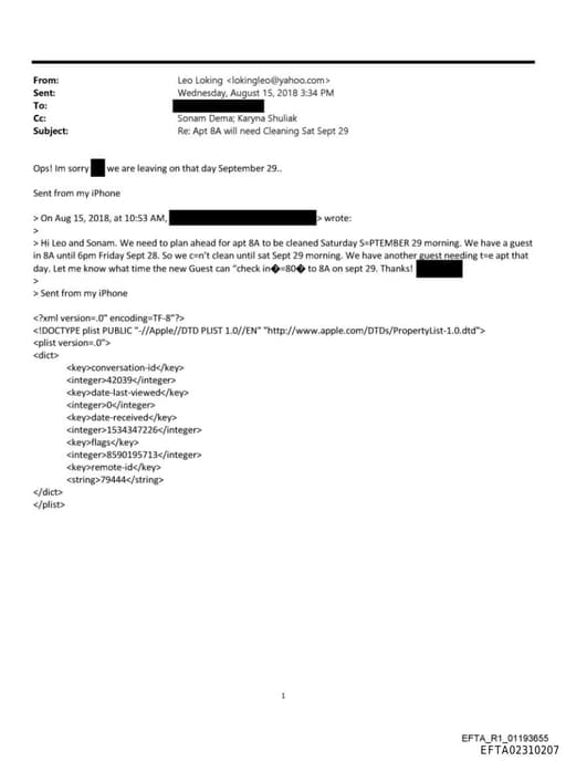 Preview of EFTA02310207