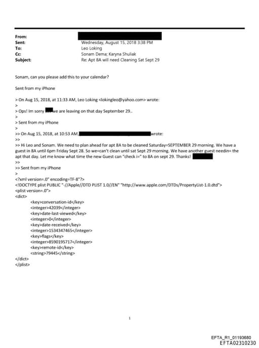 Preview of EFTA02310230