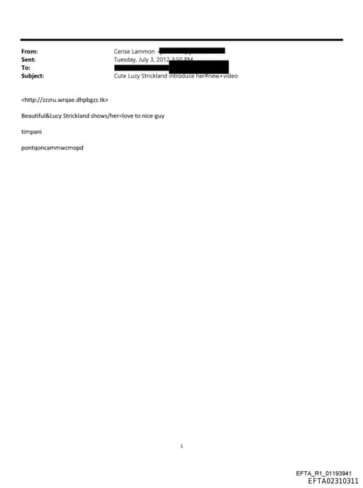 Preview of EFTA02310311