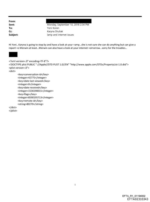 Preview of EFTA02310343