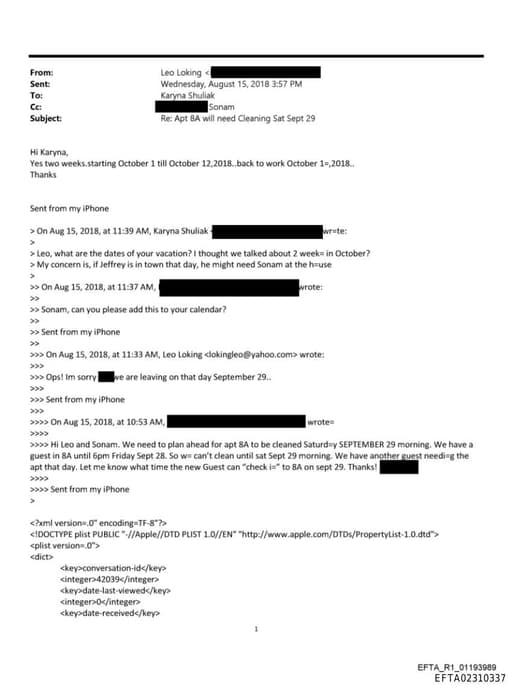 Preview of EFTA02310337