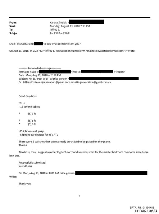 Preview of EFTA02310534