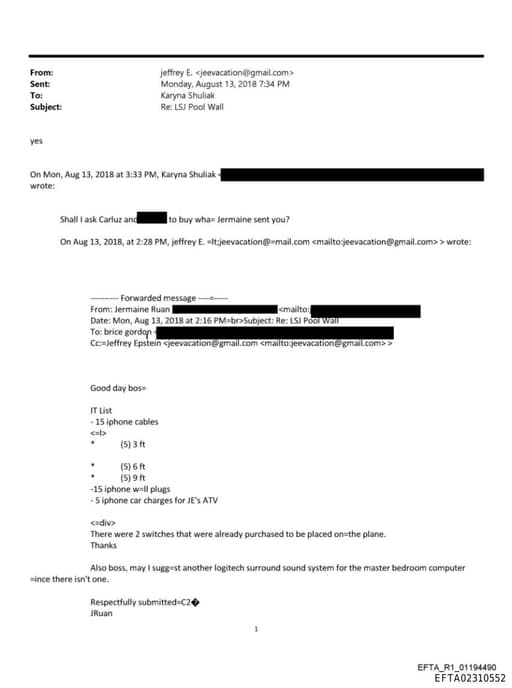 Preview of EFTA02310552