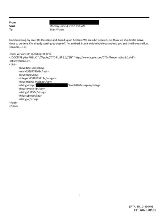 Preview of EFTA02310560