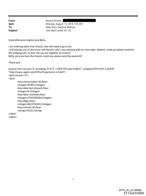 Preview of EFTA02310605