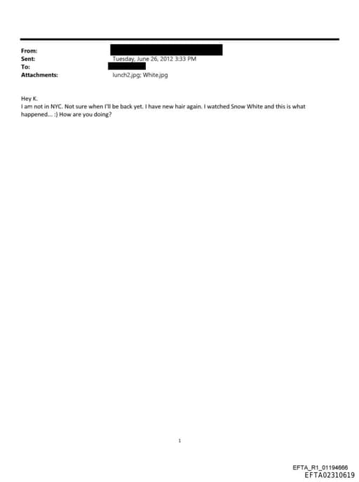 Preview of EFTA02310619