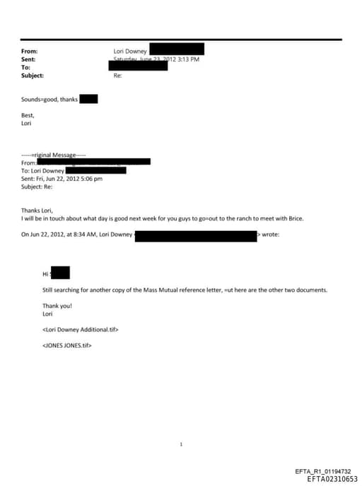 Preview of EFTA02310653