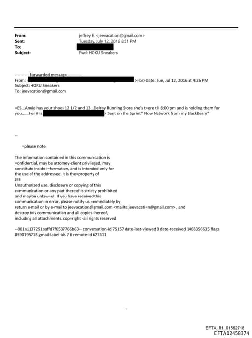 Preview of EFTA02458374