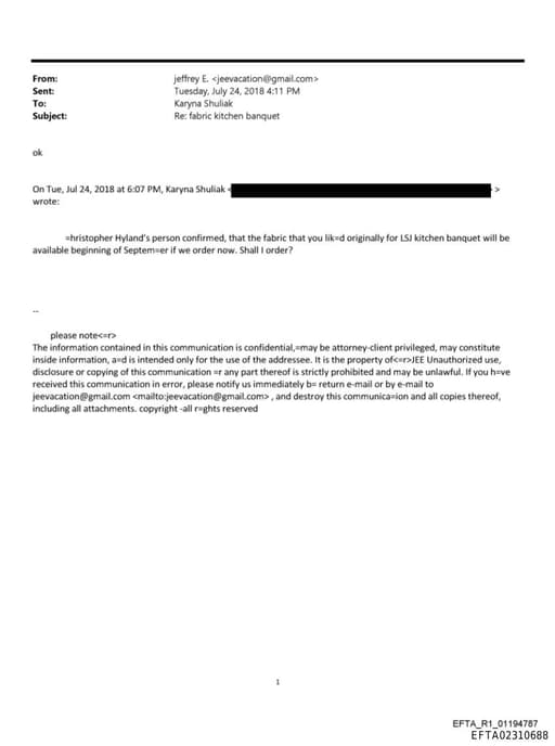 Preview of EFTA02310688