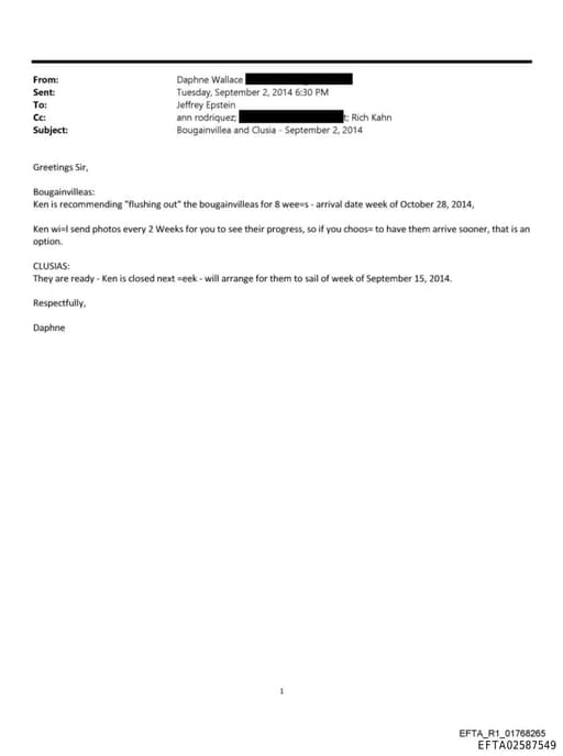 Preview of EFTA02587549