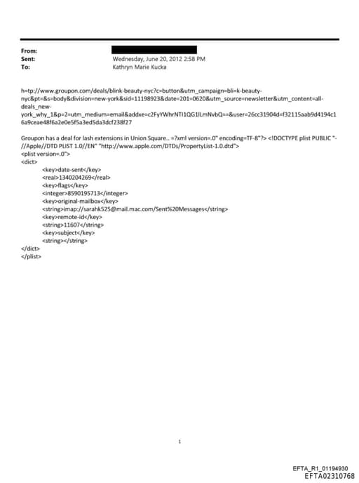 Preview of EFTA02310768