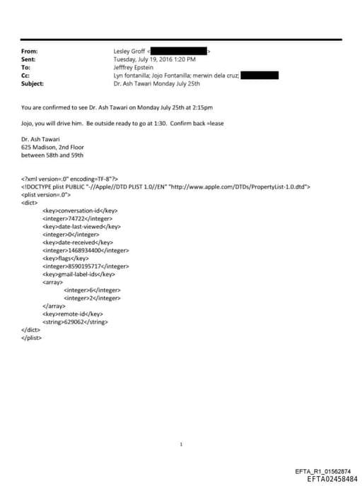 Preview of EFTA02458484