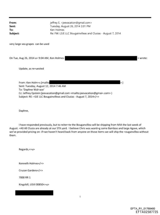 Preview of EFTA02587735