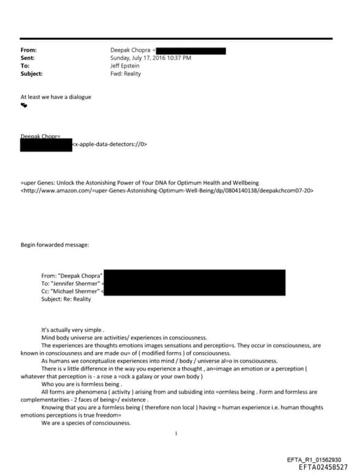 Preview of EFTA02458527