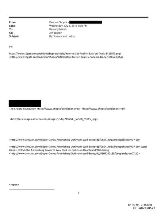 Preview of EFTA02458577