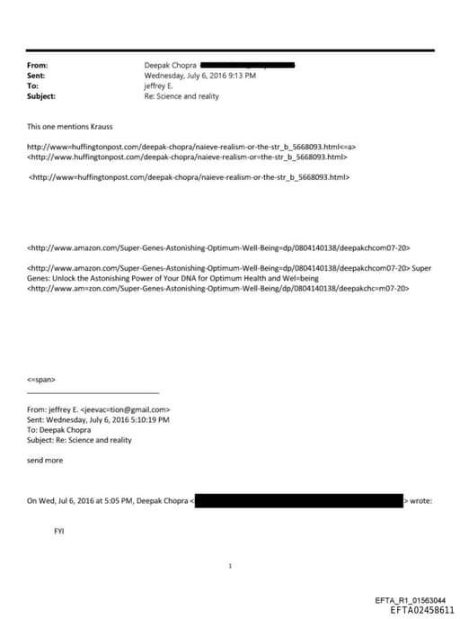 Preview of EFTA02458611