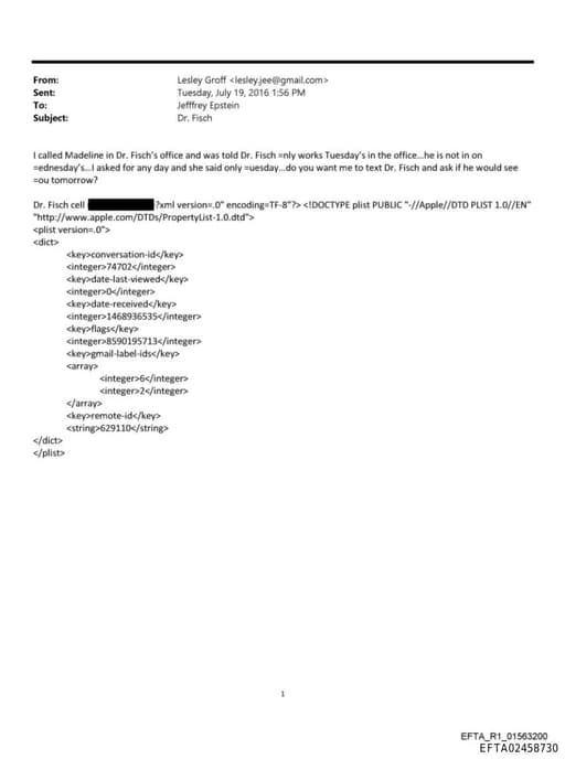 Preview of EFTA02458730