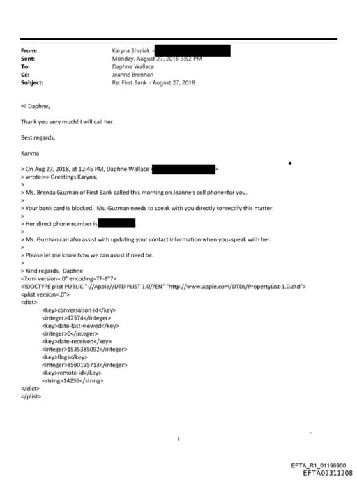 Preview of EFTA02311208