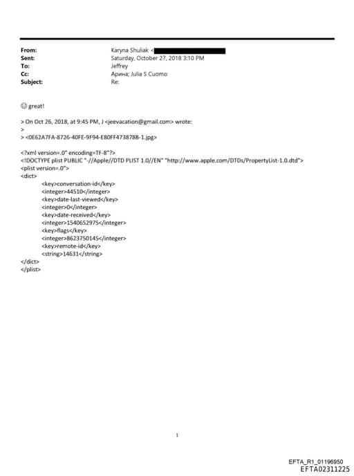 Preview of EFTA02311225