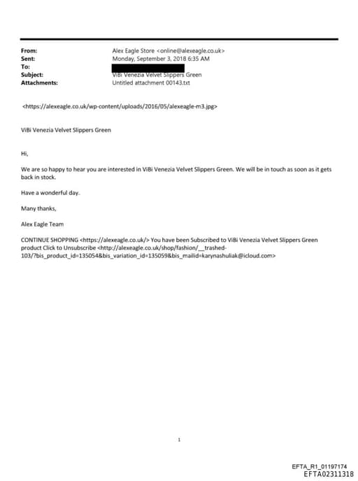 Preview of EFTA02311318