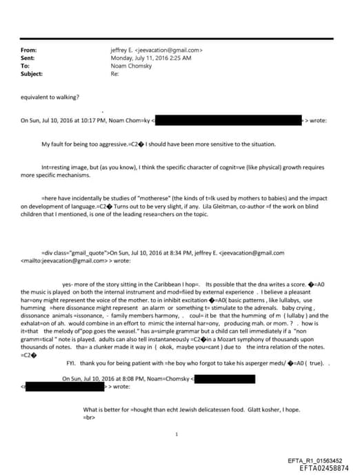 Preview of EFTA02458874