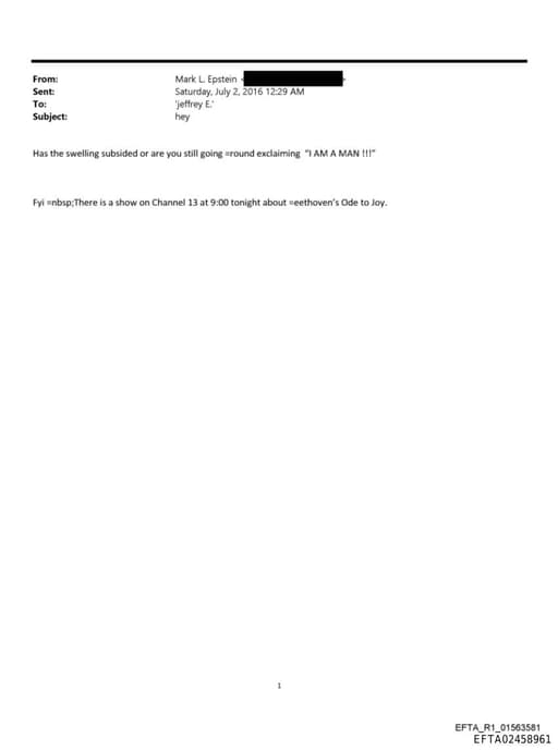 Preview of EFTA02458961