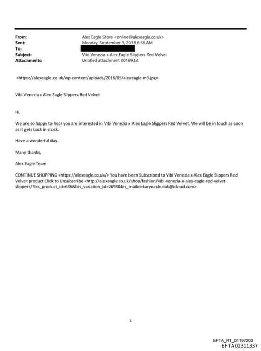 Preview of EFTA02311337