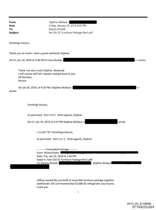 Preview of EFTA02311624