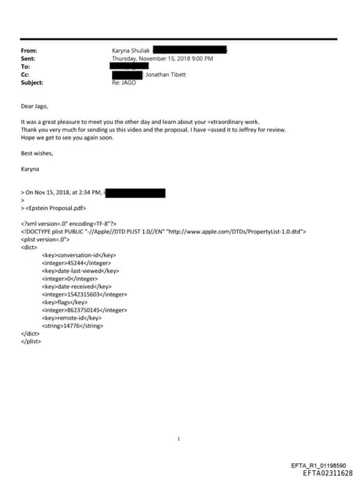 Preview of EFTA02311628