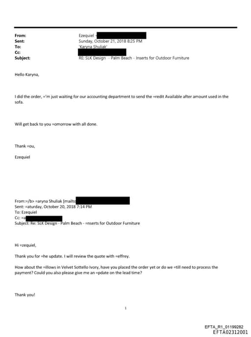 Preview of EFTA02312001