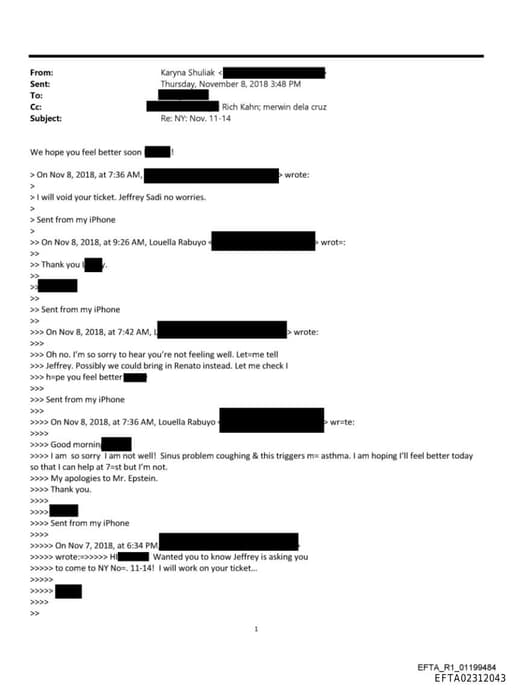 Preview of EFTA02312043