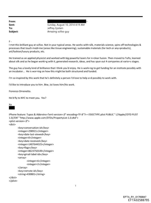 Preview of EFTA02588795