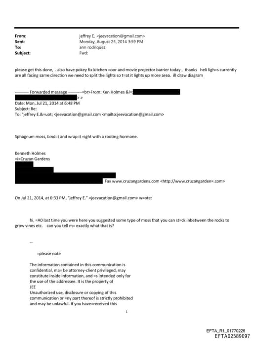 Preview of EFTA02589097