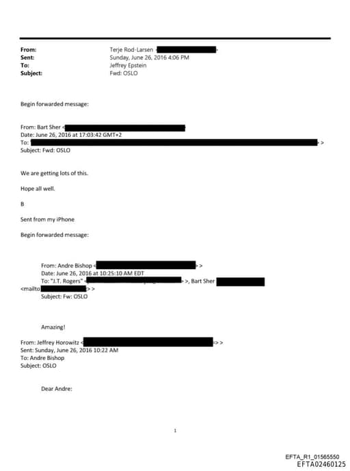 Preview of EFTA02460125