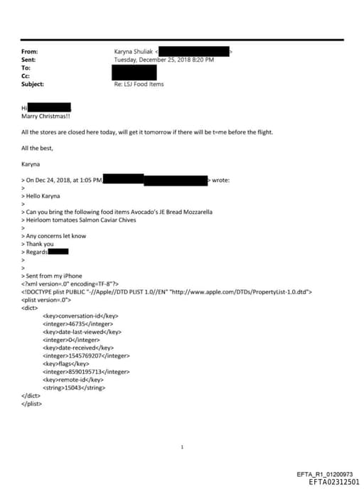 Preview of EFTA02312501