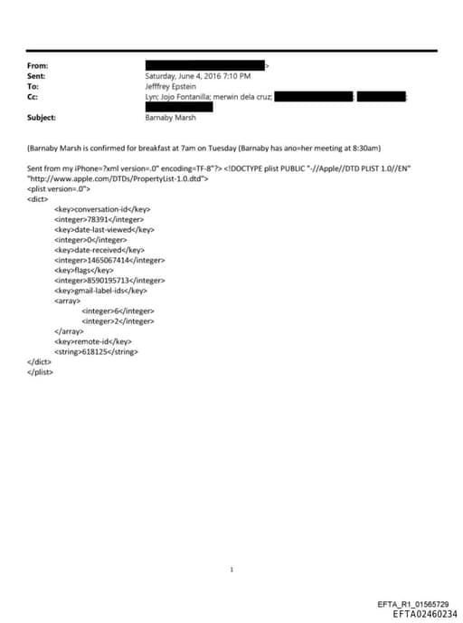 Preview of EFTA02460234