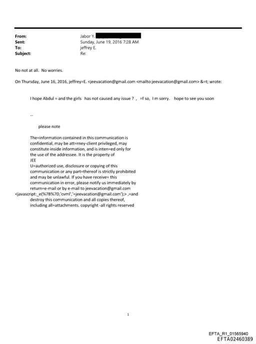 Preview of EFTA02460389