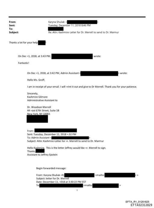 Preview of EFTA02312829