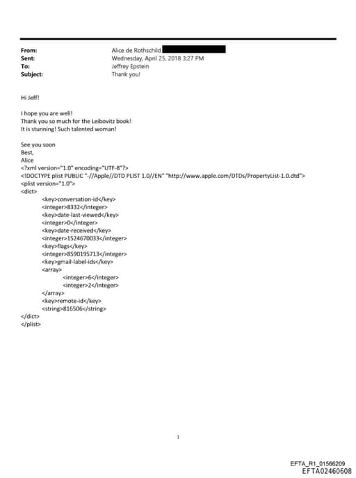 Preview of EFTA02460608