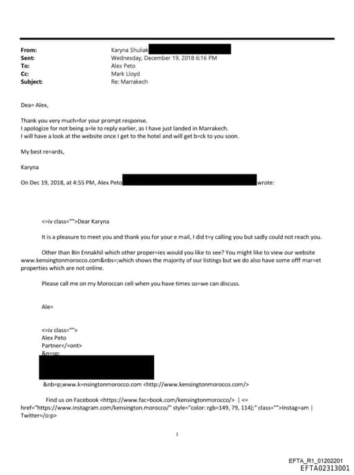 Preview of EFTA02313001