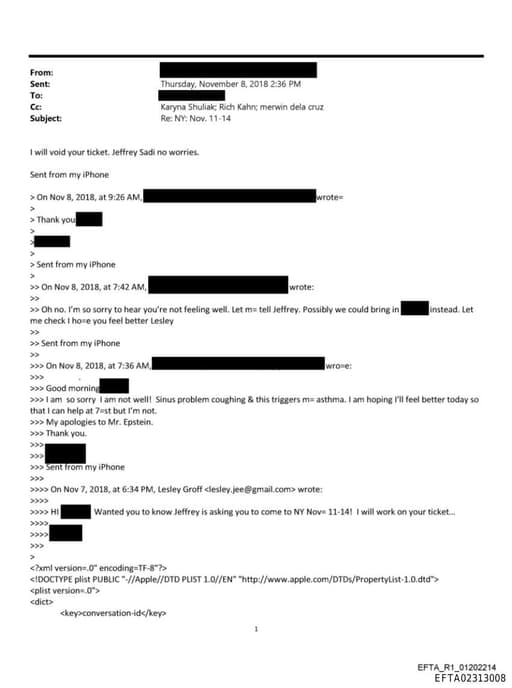 Preview of EFTA02313008