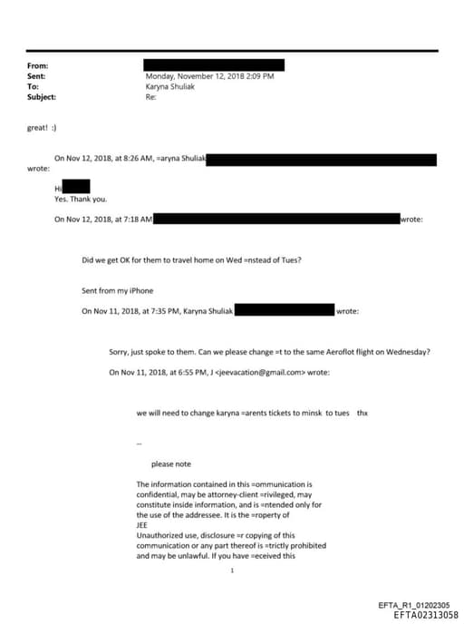 Preview of EFTA02313058