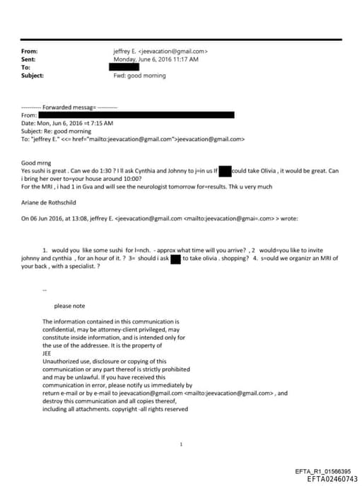 Preview of EFTA02460743