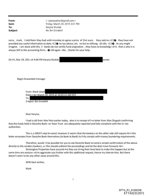 Preview of EFTA02313071