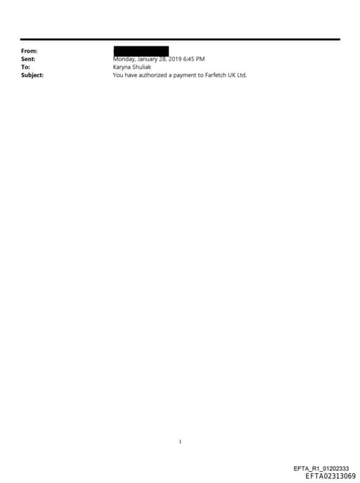 Preview of EFTA02313069