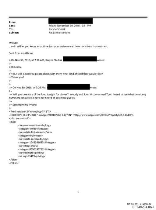 Preview of EFTA02313073