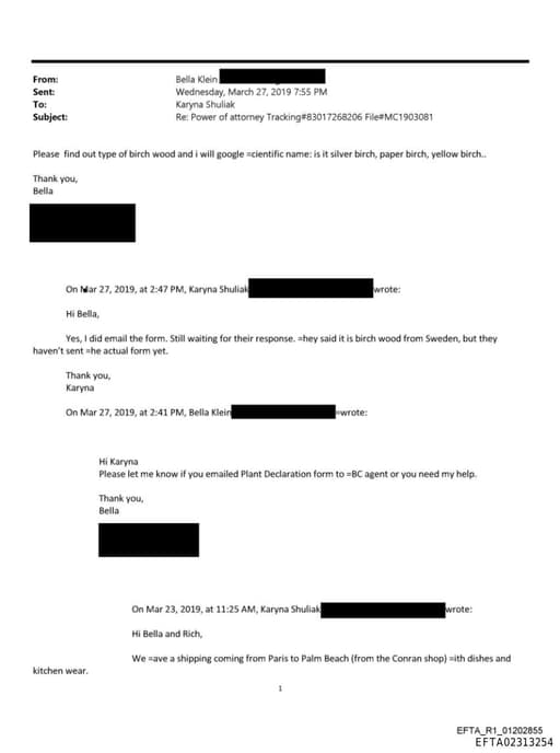 Preview of EFTA02313254