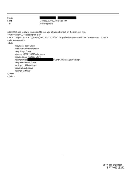 Preview of EFTA02313272